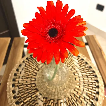 2mari בית נופש בארי